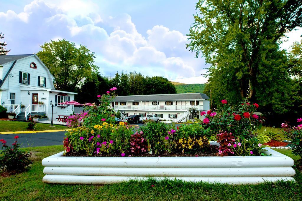 Willows Motel Williamstown Exterior foto